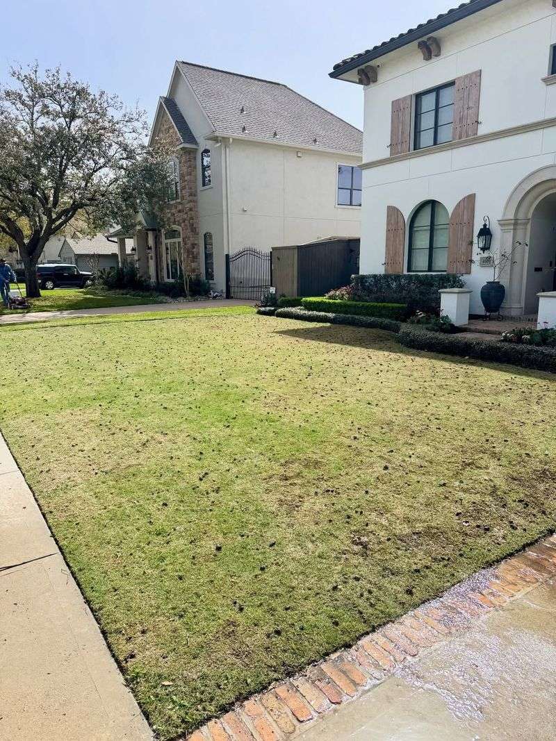 Improve Water Penetration In Compacted Soil