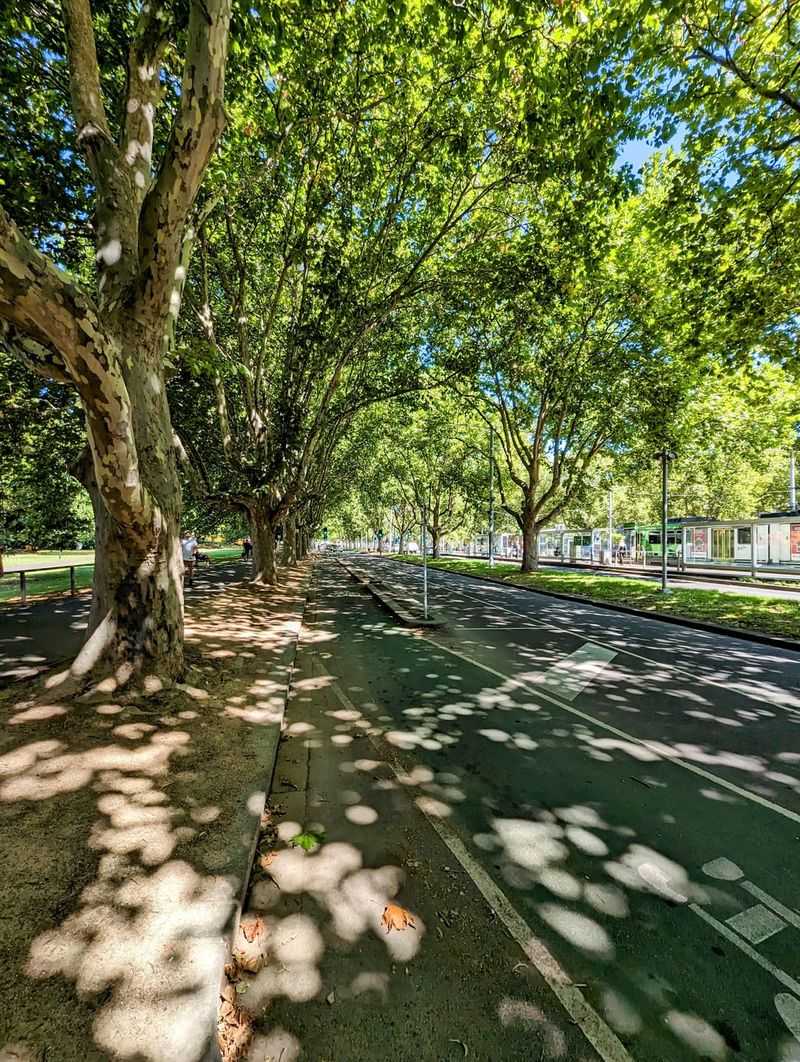 Cooler Neighborhoods During Hot Summers