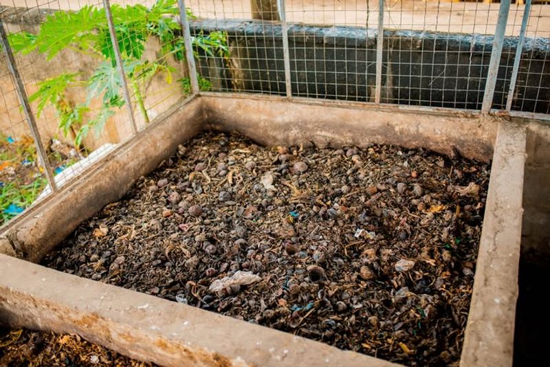 Community Programs Make Starting Easy