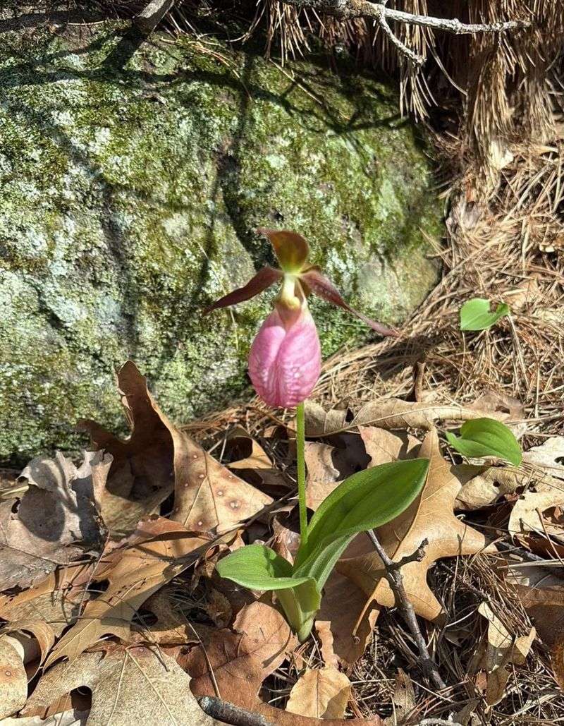 Specific Hiking Trails Report The Most Sightings