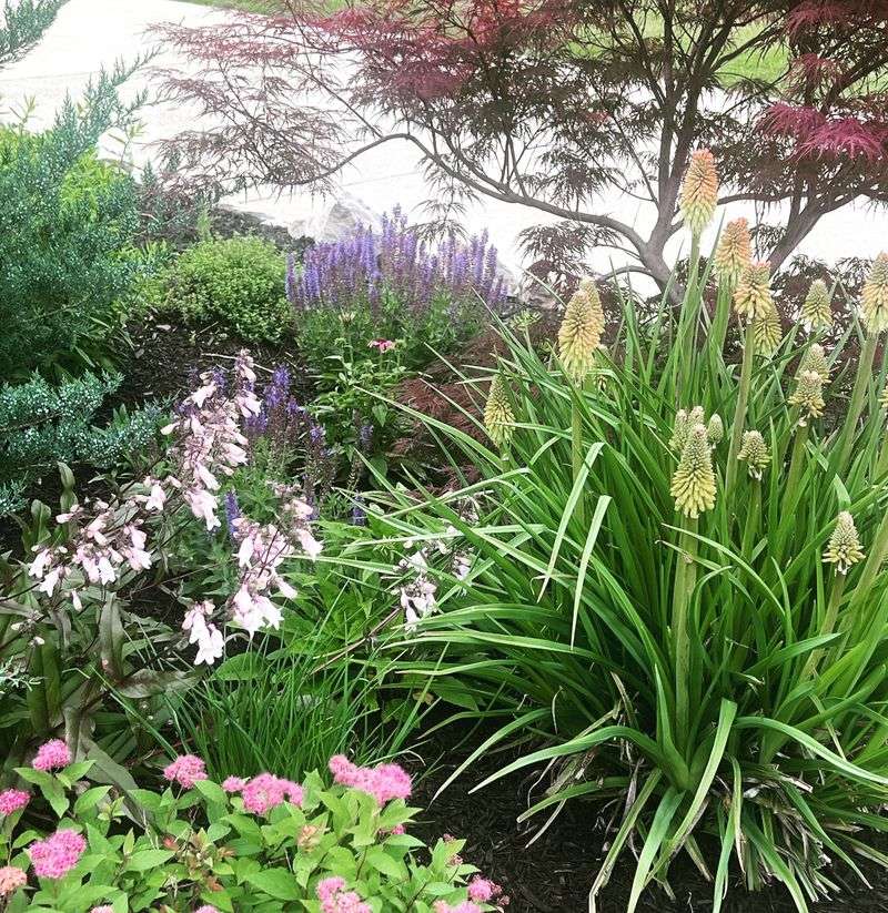 Increased Interstate Commerce Spread Beetles