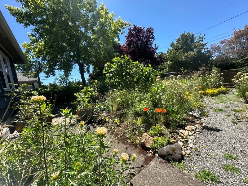 Seasonal Beauty Provides Year-Round Interest