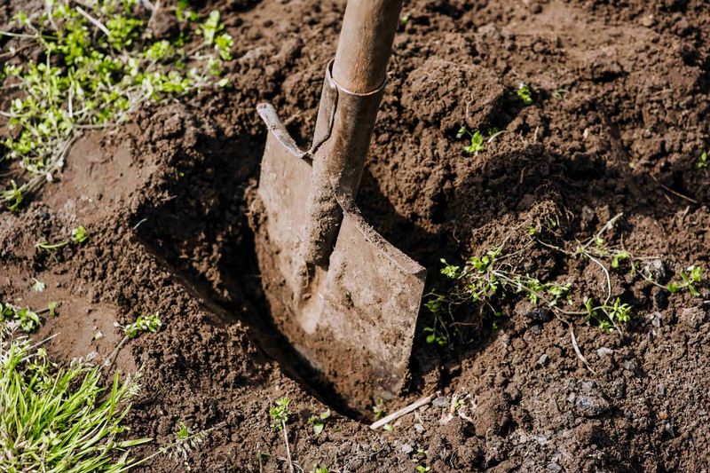 Installation Costs Remain Affordable