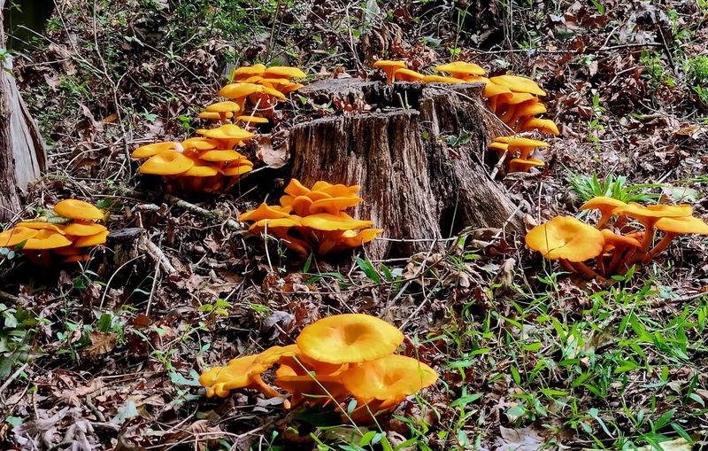 Best to Leave Them Alone