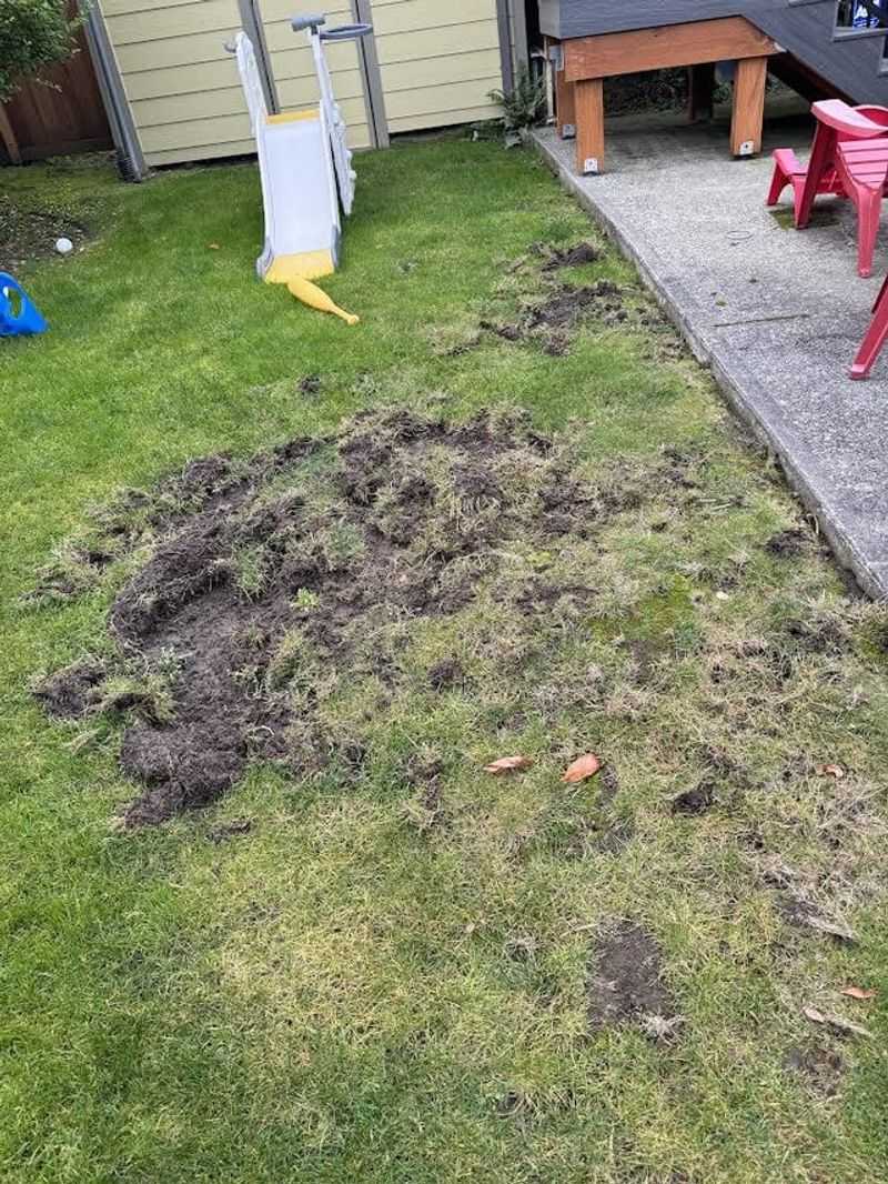 Health Departments Address Pest Infestations