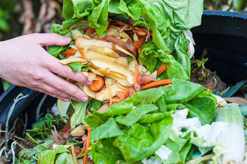 Vegetable And Fruit Scraps