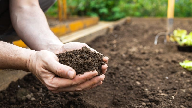 They Improve Drainage In Heavy Clay Soils