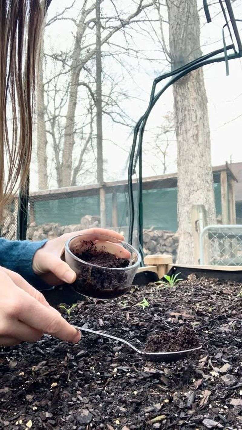 They Provide A Free, Sustainable Gardening Resource