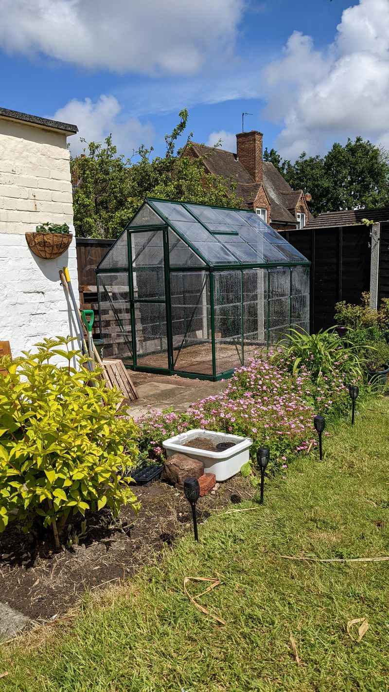 Windbreak Placement And Design