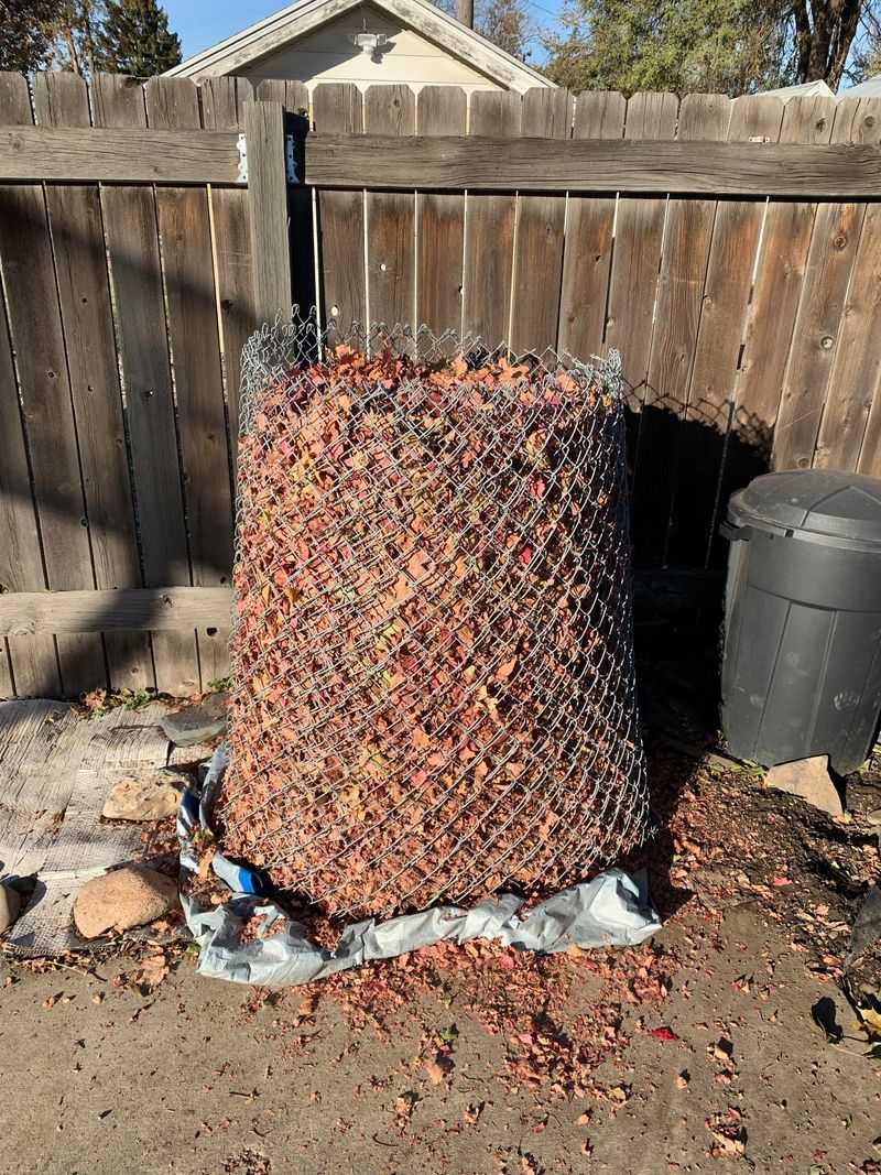 Create A Dedicated Leaf Mold Bin Or Pile
