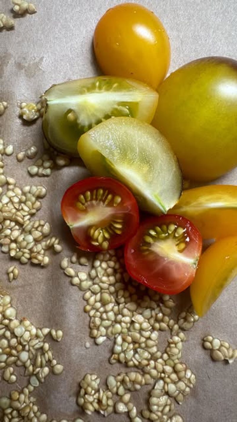 Save And Plant Seeds From Your Produce