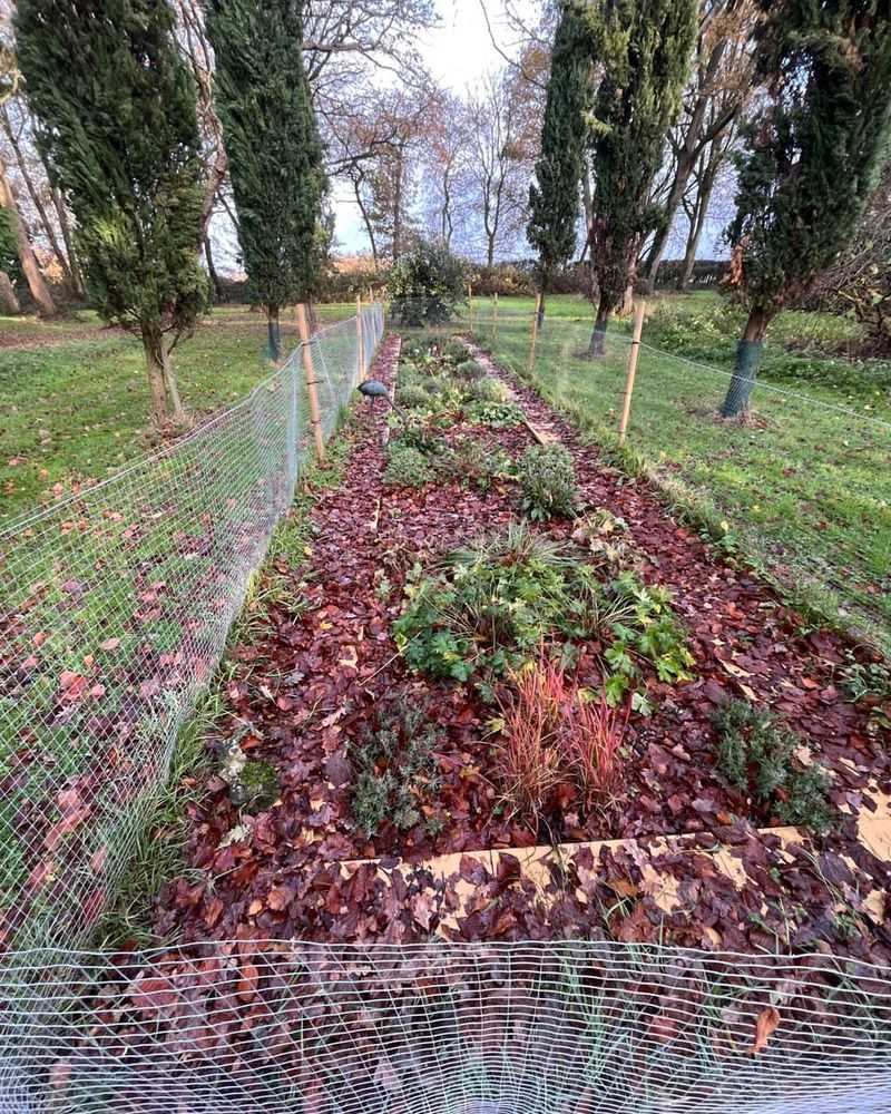 Mulching With Fallen Leaves