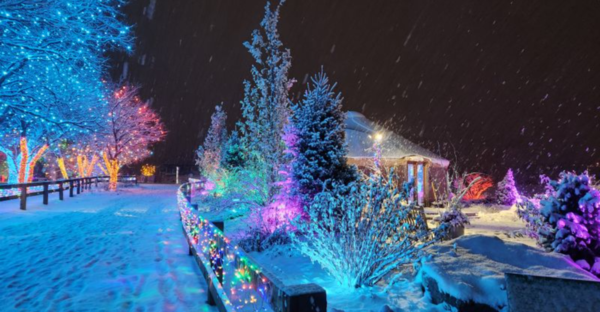 Colorado’s Mountain Gardens That Turn Magical Under Snow