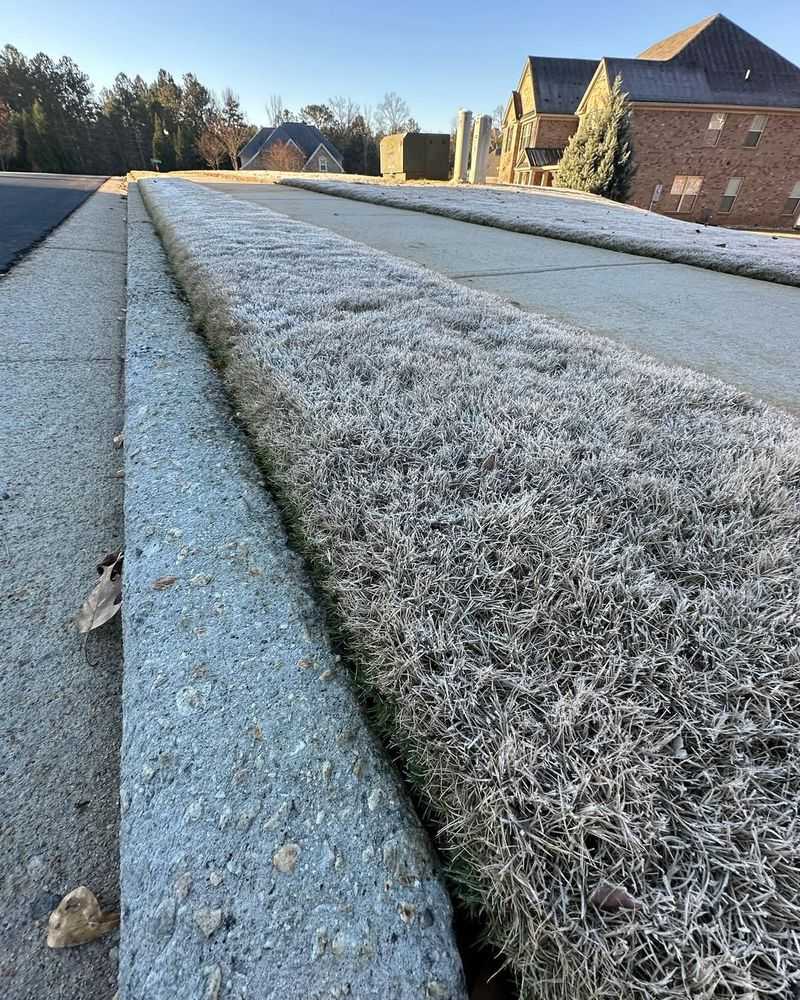 How Foot Traffic Damages Dormant Grass