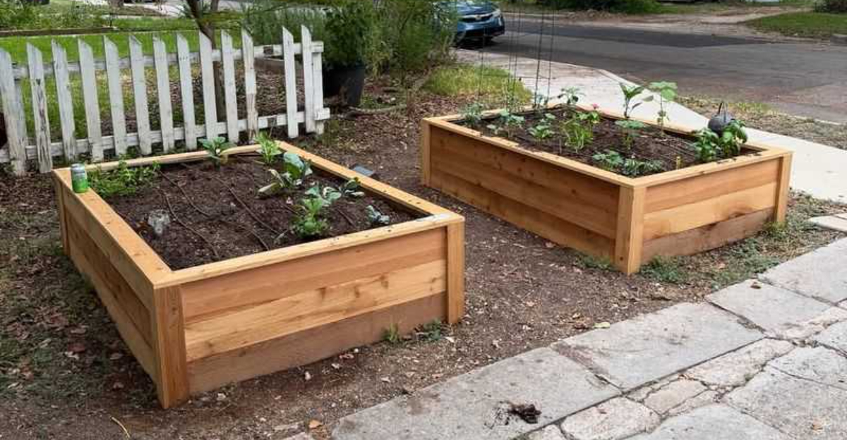 Common Yard Features That Could Soon Be Outlawed Across Louisiana