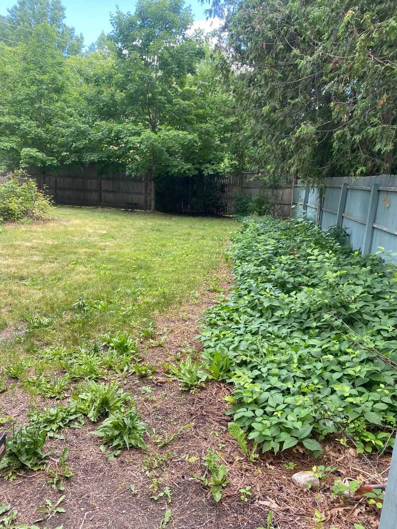 Herbicide Use Near Property Lines Requires Caution