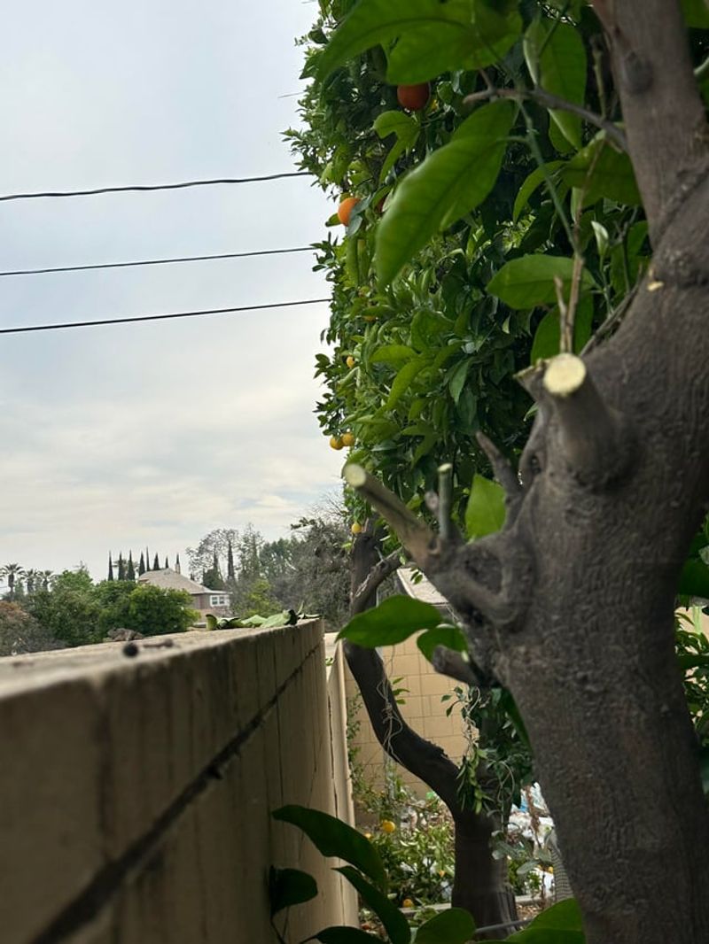 Local Ordinances May Provide Additional Protections Or Requirements