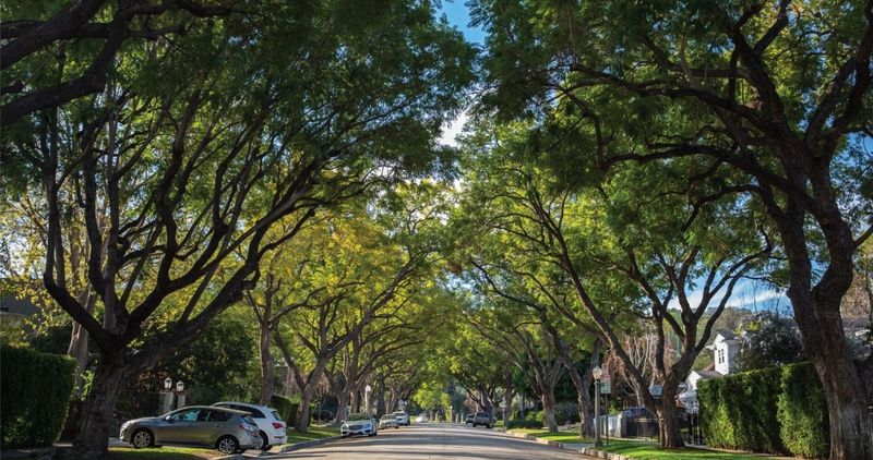 Municipal Codes Add Extra Rules