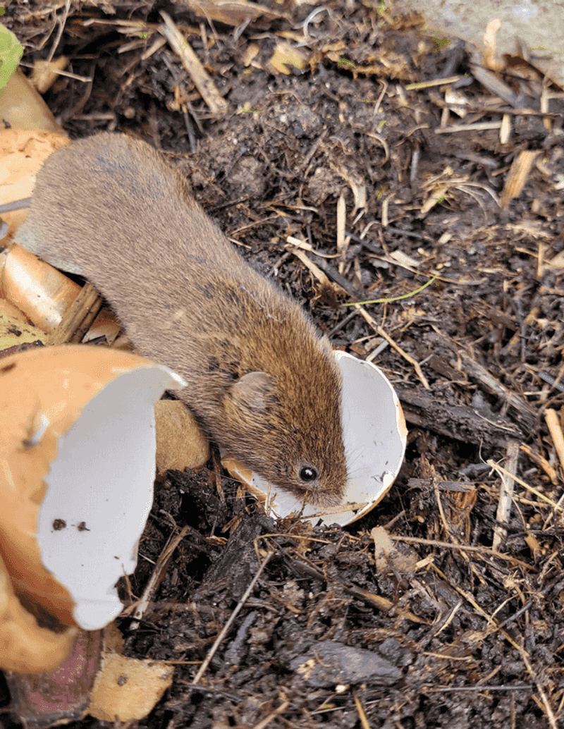 Health Departments Can Intervene