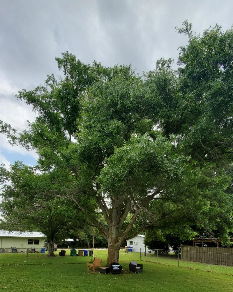Document Everything Before And After Trimming