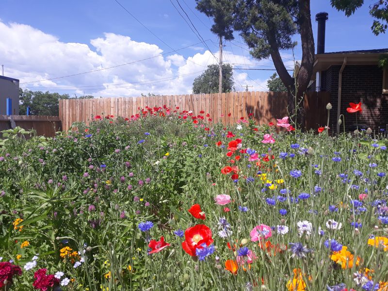 Cost Savings Through Reduced Maintenance