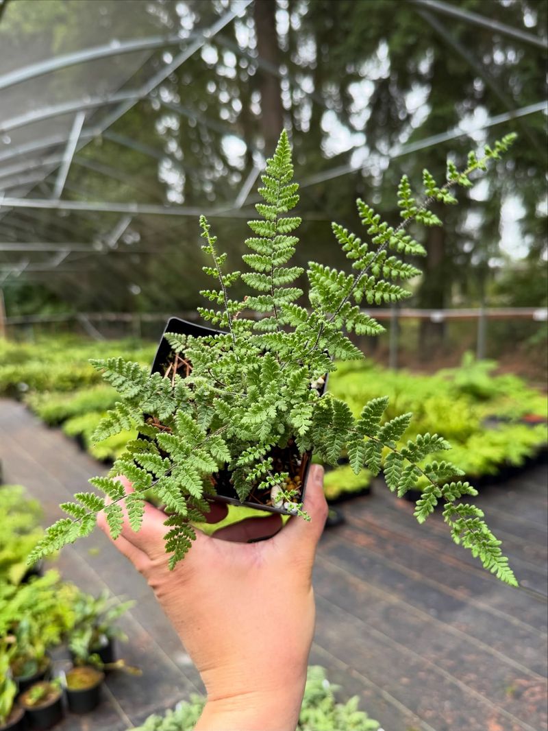 Conservation Education Promotes Environmental Stewardship