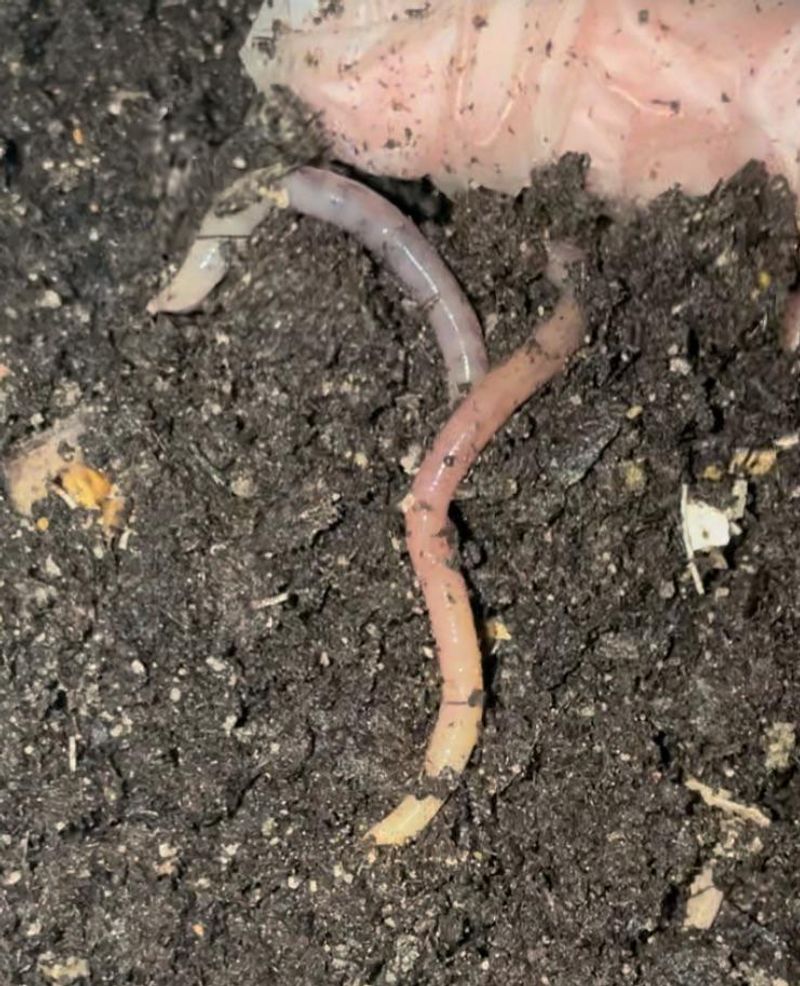 Different Methods Fit Every Lifestyle