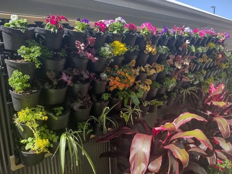 Affordable Starter Kits Lower Barriers