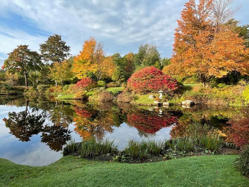 Free Admission Welcomes Everyone To Experience Beauty