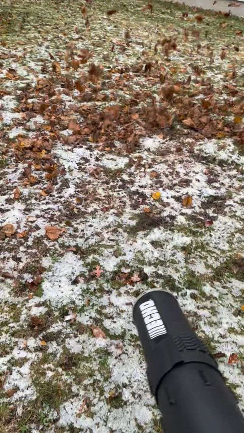 Poor Fall Cleanup Leaves Debris That Traps Moisture