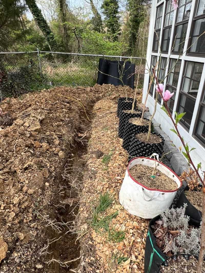 Mulch Decomposition Temporarily Ties Up Nitrogen