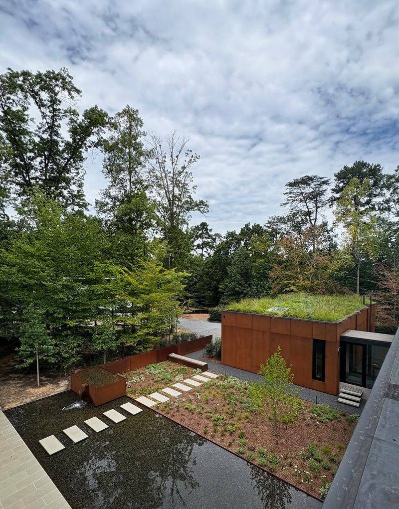 Nutrient Imbalances Cause Plant Failure