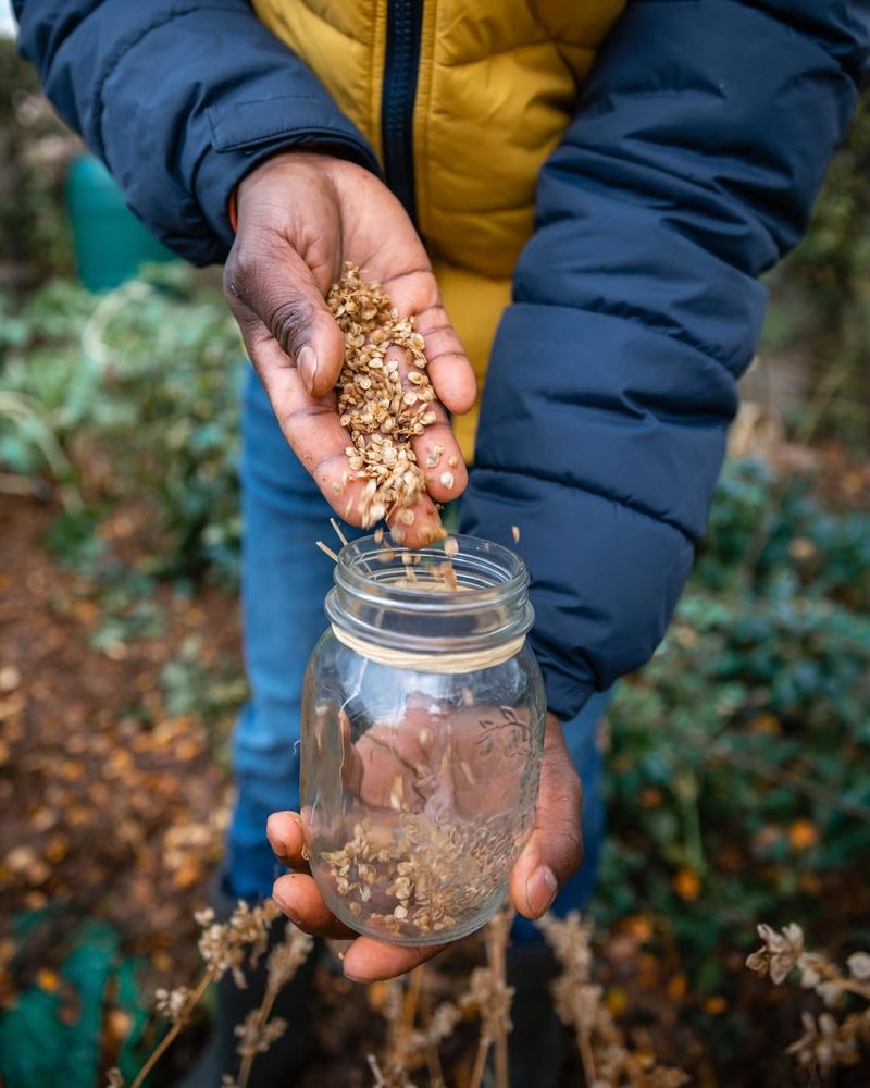 Mason Jar Seed Storage