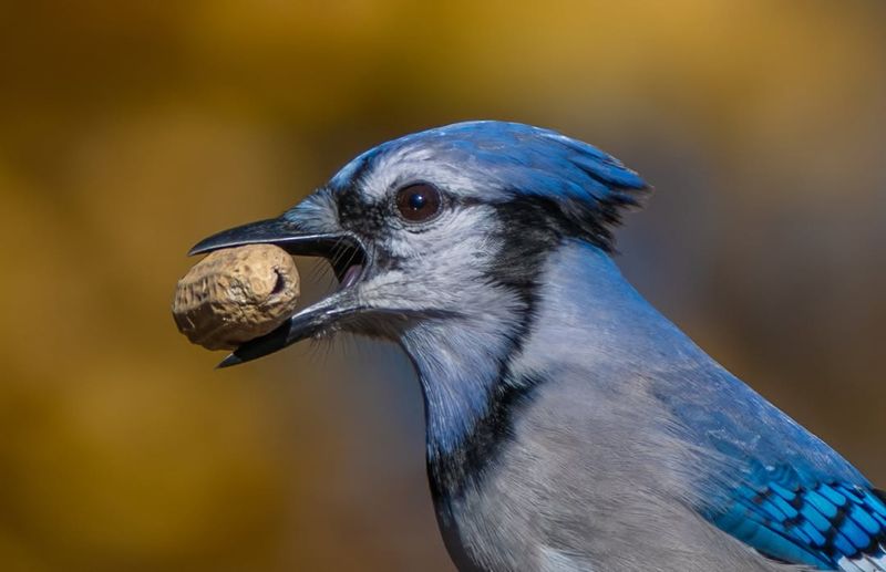 Unpredictable New England Weather Patterns Demand Preparation