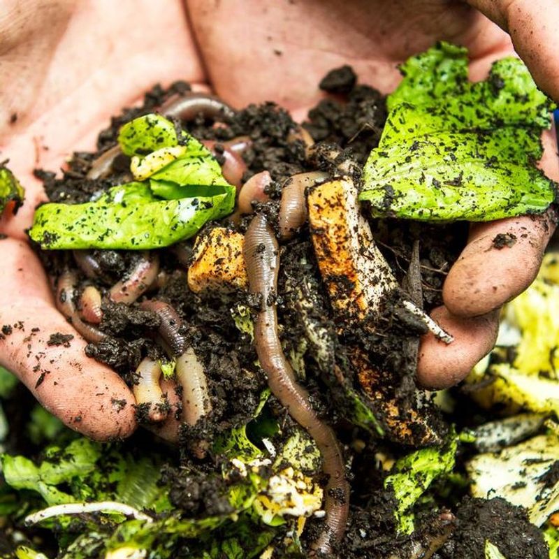 How Composting Supports Climate And Waste Reduction Goals