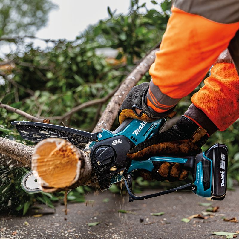 Extendable Pruning Saw