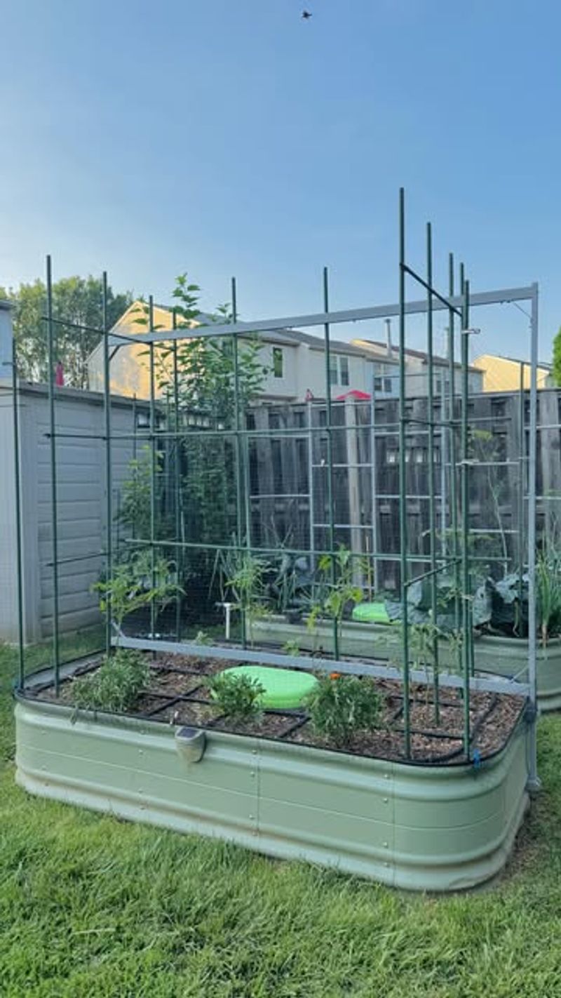 Small Fruit Bushes and Dwarf Trees