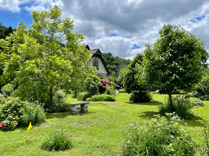 Enjoying Beauty That Changes With Seasons