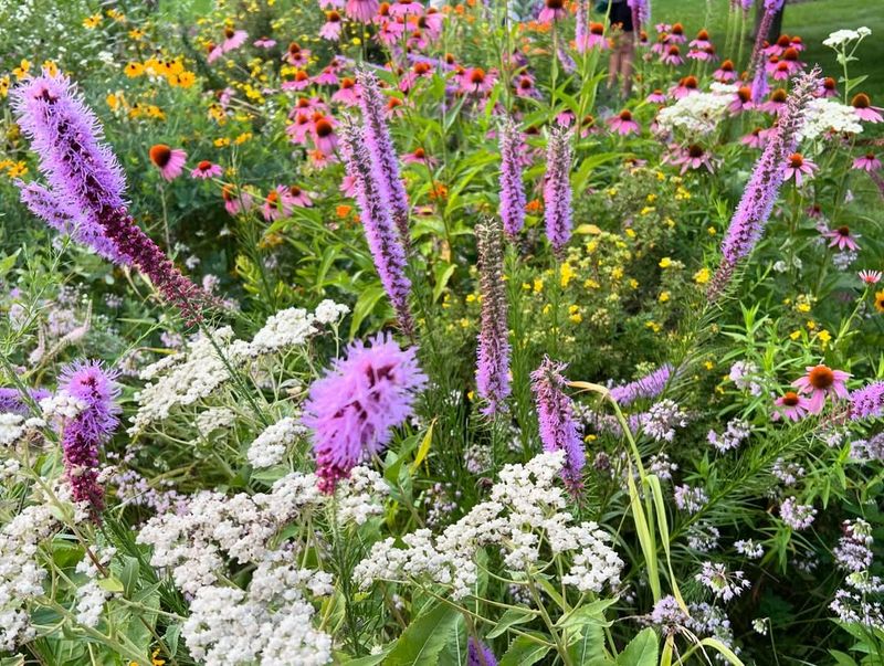 Year-Round Visual Interest