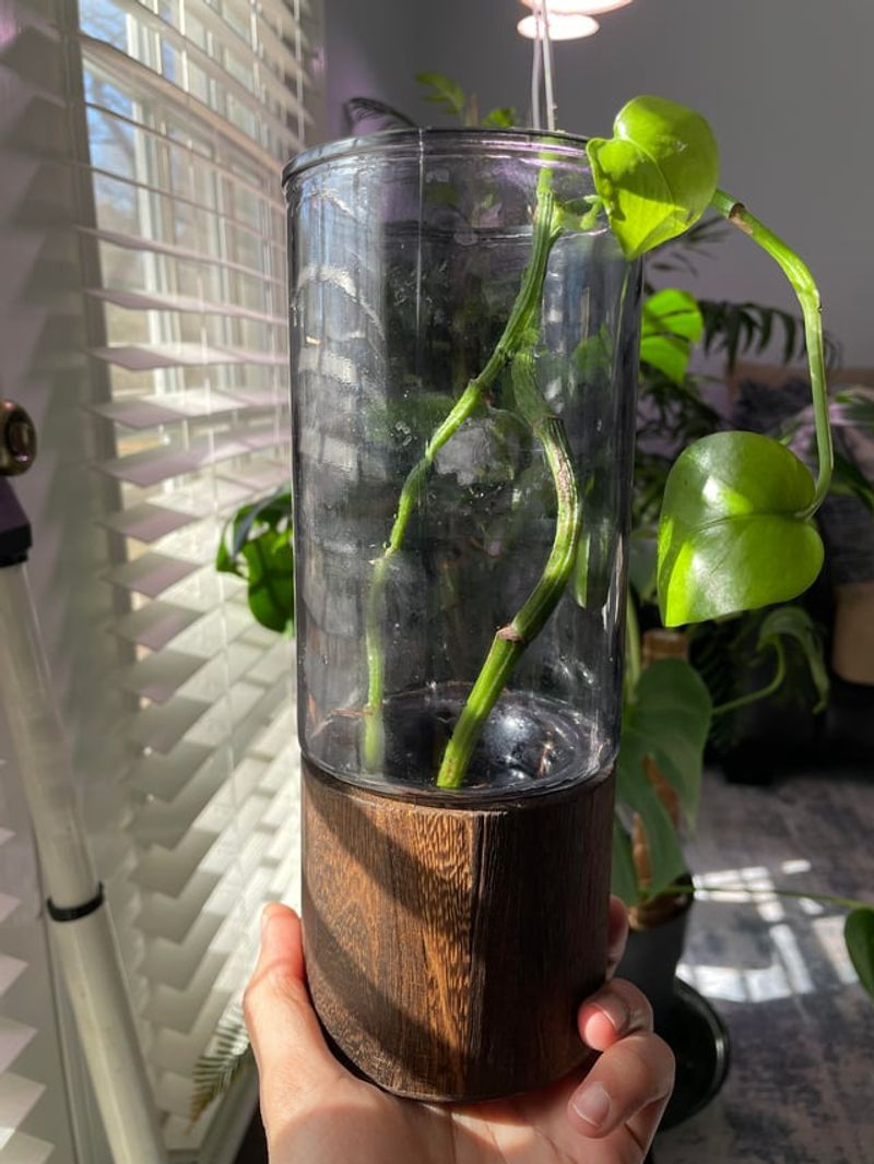 Supports Florida's Native And Tropical Plant Popularity