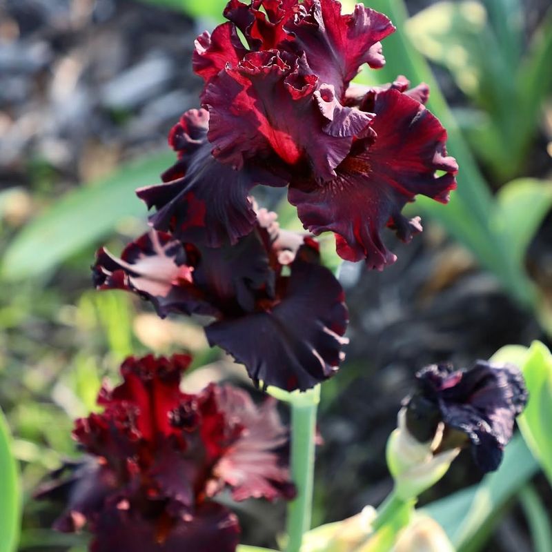 Best Viewing Locations Offer Guided Tours And Facilities