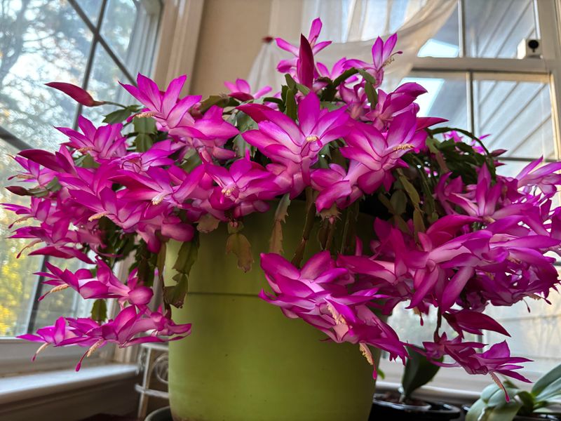 Match Watering To Pot Size And Material