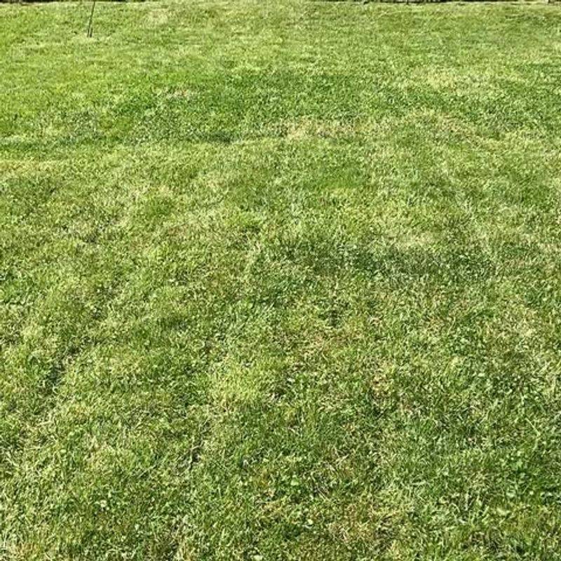 Repair Damage and Prevent Future Problems