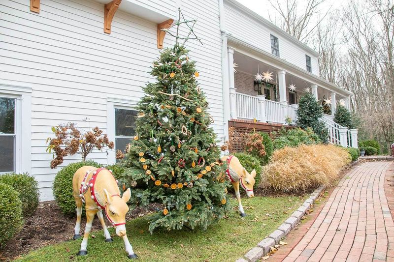 Decorating Outdoor Trees And Shrubs With Evergreen Branch Additions