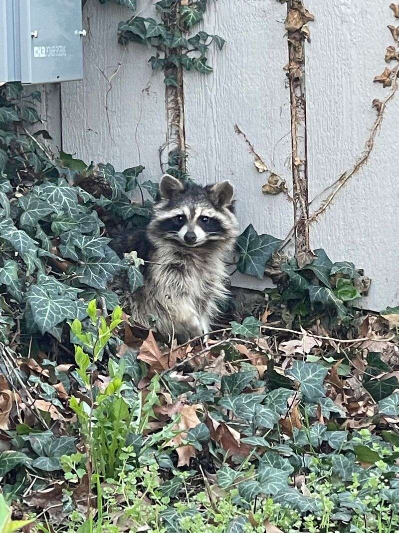 Install Motion-Activated Lights Around Your Yard