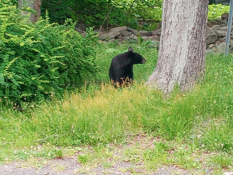 Educate Your Neighbors And Community