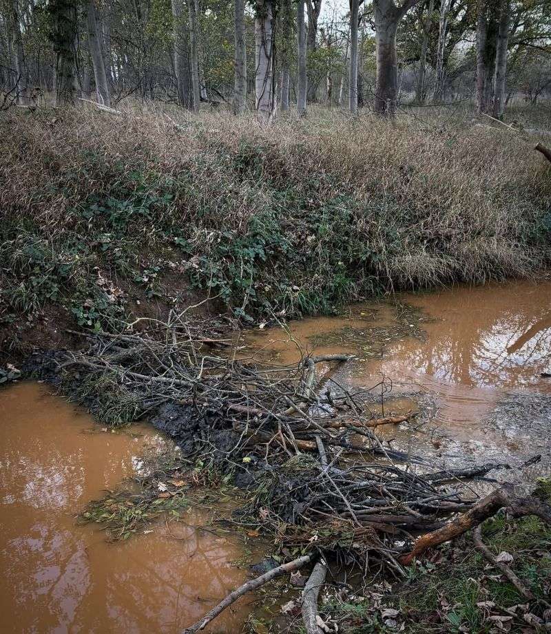 Look For Dam Construction