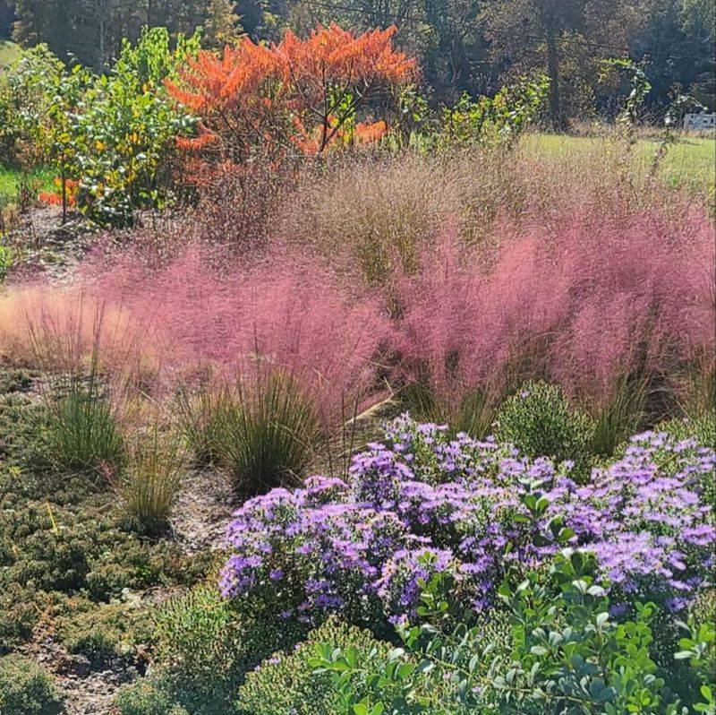 Perennial Pollinator Gardens