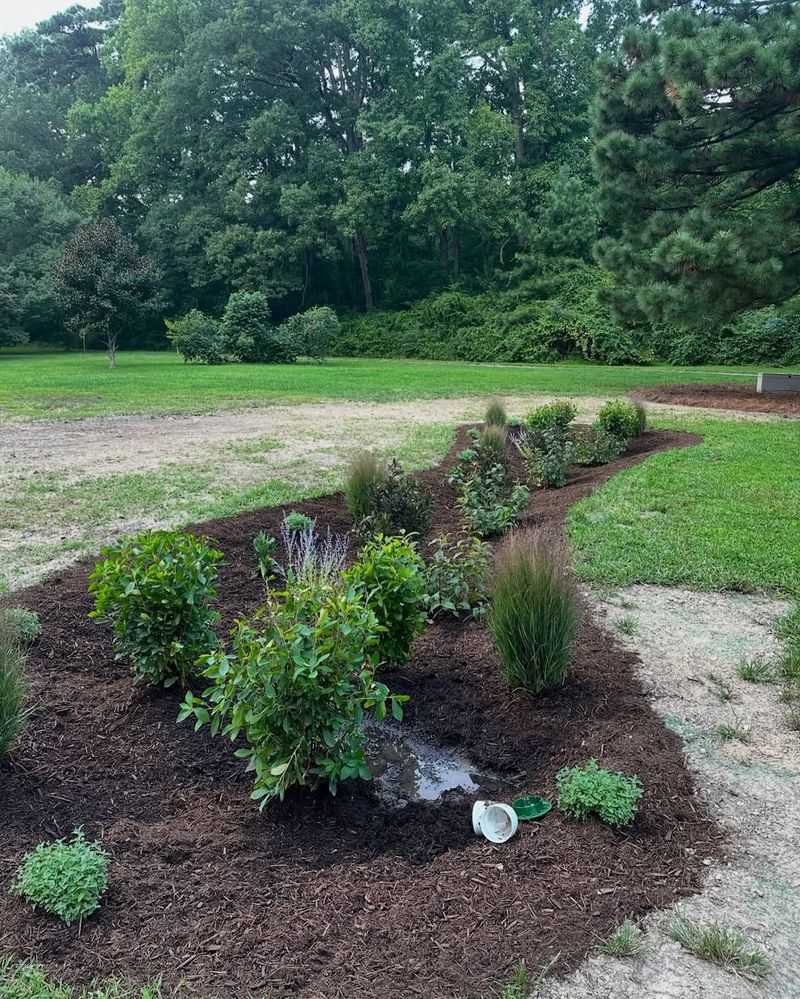 Rain Gardens