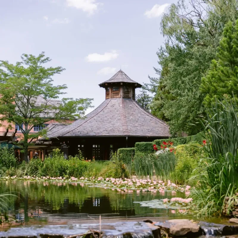 Dining Among Art Elevates the Visit